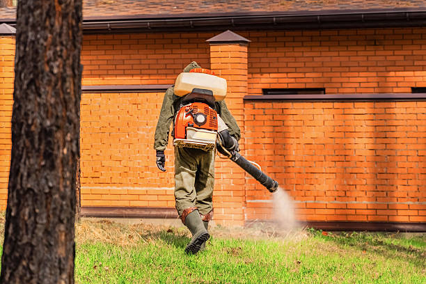 Bed Bug Clearance Verification and Documentation in Dalzell